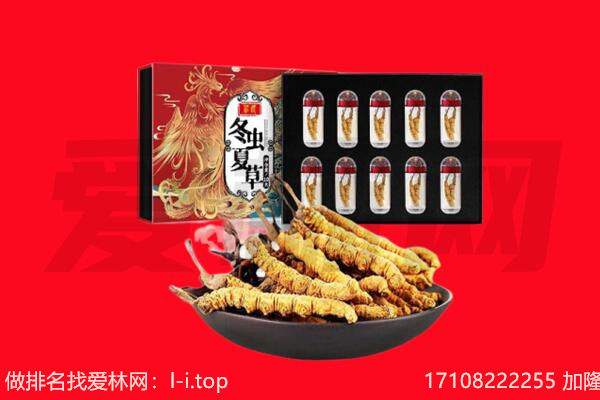 黄山市休宁回收虫草.jpg